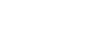 Bridgestone