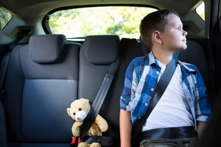 Safety First with Kids & Pets